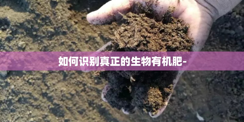 抖音上很温柔的浪漫思念文案句子精选60句