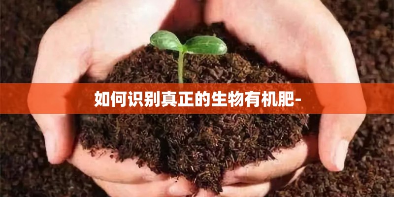 马自达CX5买2.0还是2.5？