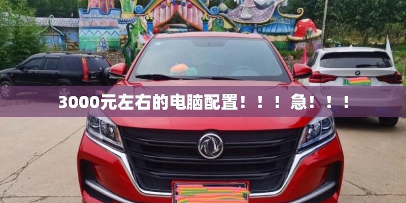 鱼缸里可以养什么植物
