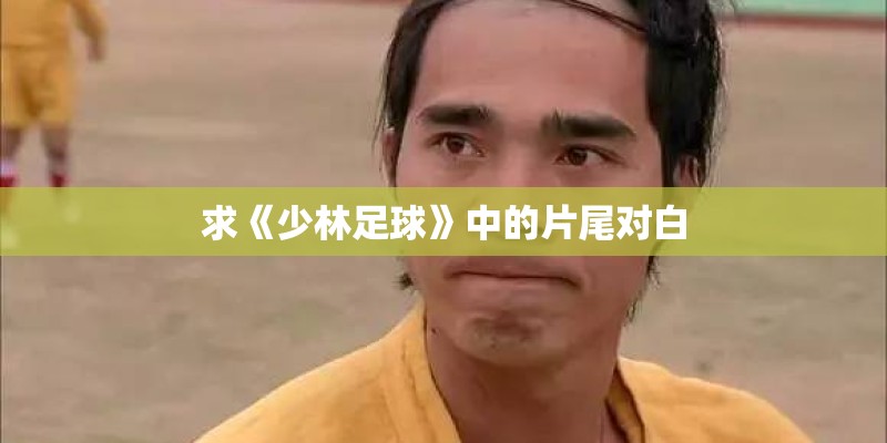 跳交谊舞的基本步法