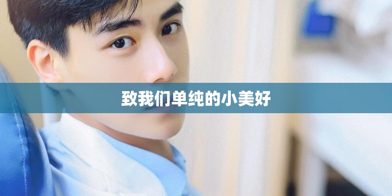 致我们单纯的小美好