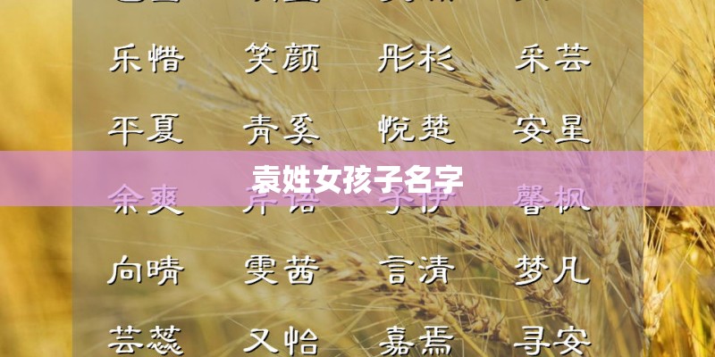 袁姓女孩子名字