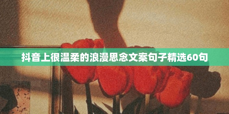 抖音上很温柔的浪漫思念文案句子精选60句
