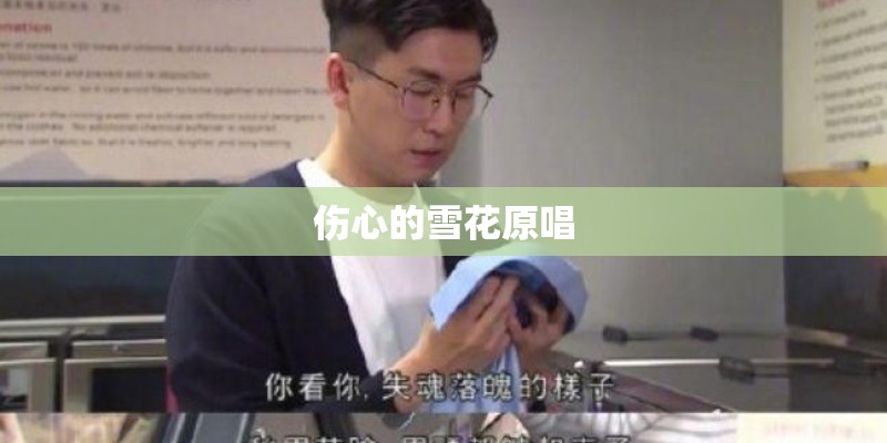 伤心的雪花原唱