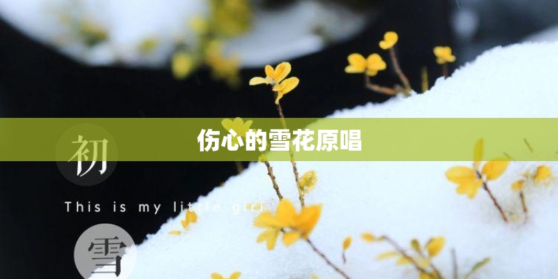 伤心的雪花原唱