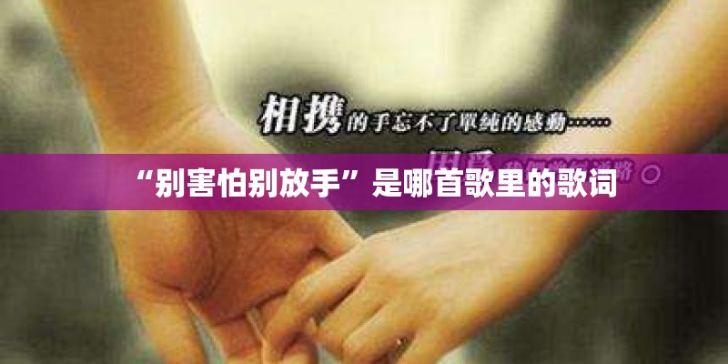 “别害怕别放手”是哪首歌里的歌词 “别害怕别放手”是哪首歌里的歌词