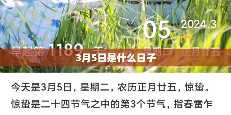 伤心的雪花原唱