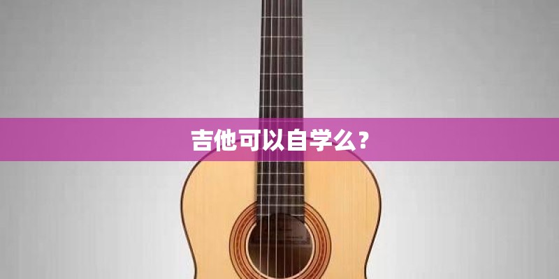 吉他可以自学么? 吉他可以自学么?