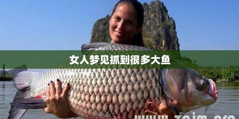 女人梦见抓到很多大鱼