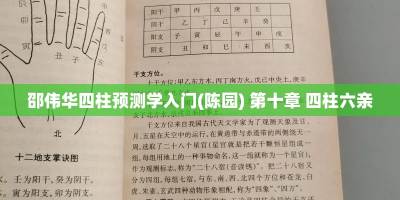 邵伟华四柱预测学入门(陈园) 第十章 四柱六亲 邵伟华四柱预测学入门(陈园) 第十章 四柱六亲