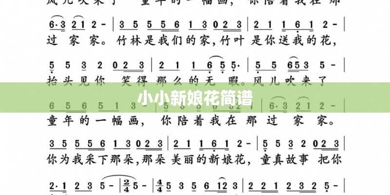 小小新娘花简谱