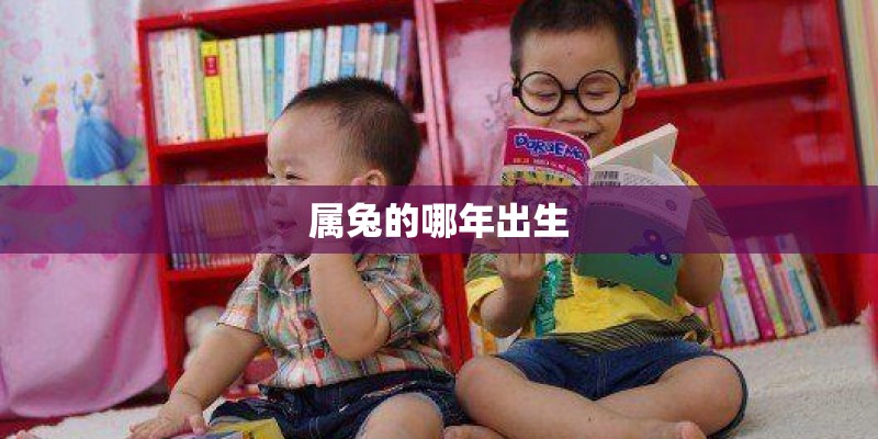 属兔的哪年出生