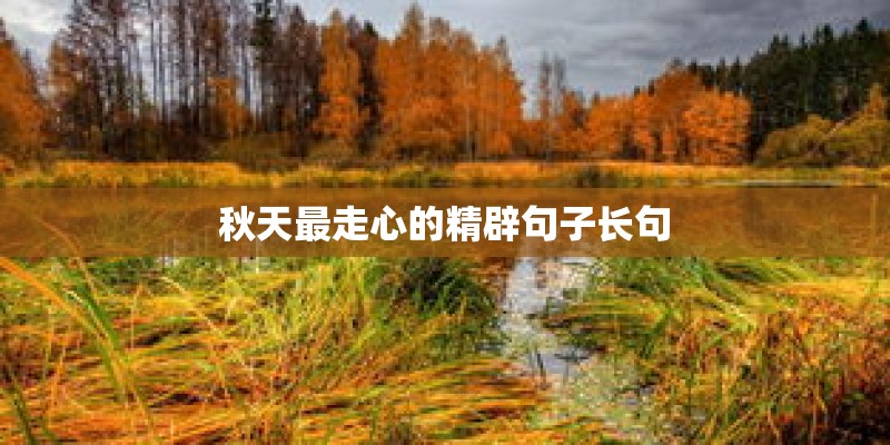 秋天最走心的精辟句子长句 秋天最走心的精辟句子长句