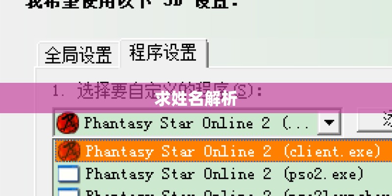 求姓名解析 求姓名解析