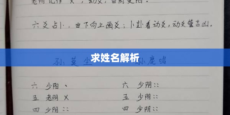 求姓名解析 求姓名解析