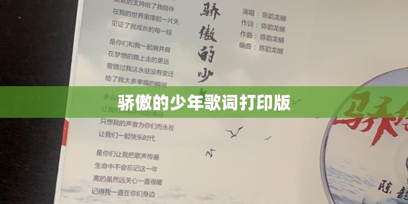 骄傲的少年歌词打印版