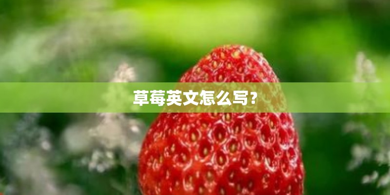 草莓英文怎么写？