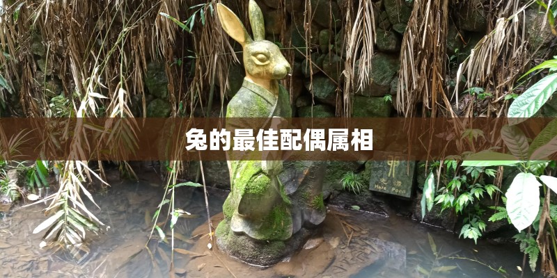 治疗乳腺增生的偏方有哪些？