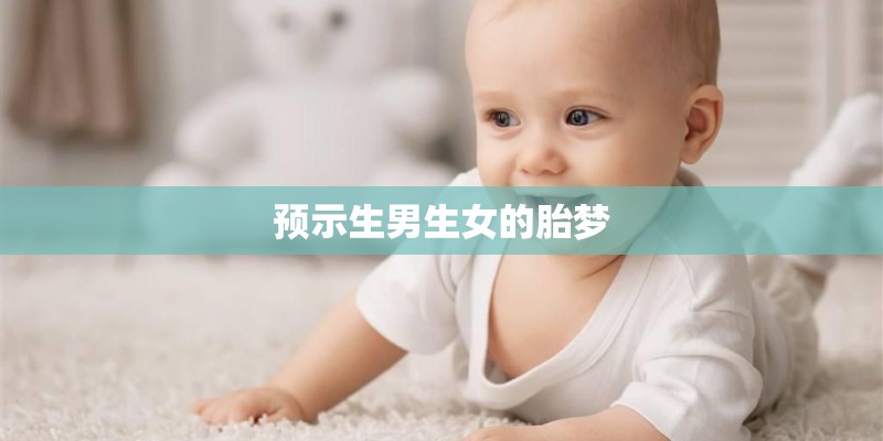 预示生男生女的胎梦
