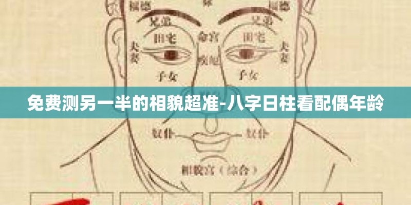 免费测另一半的相貌超准-八字日柱看配偶年龄 免费测另一半的相貌超准-八字日柱看配偶年龄