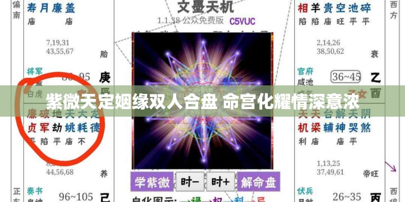 紫微天定姻缘双人合盘 命宫化耀情深意浓