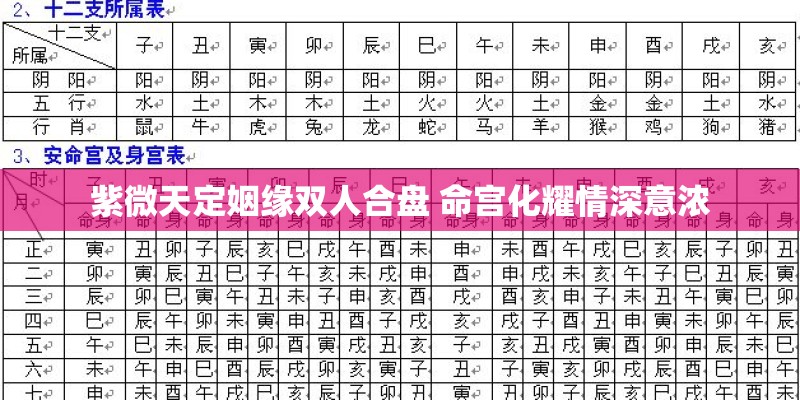 紫微天定姻缘双人合盘 命宫化耀情深意浓