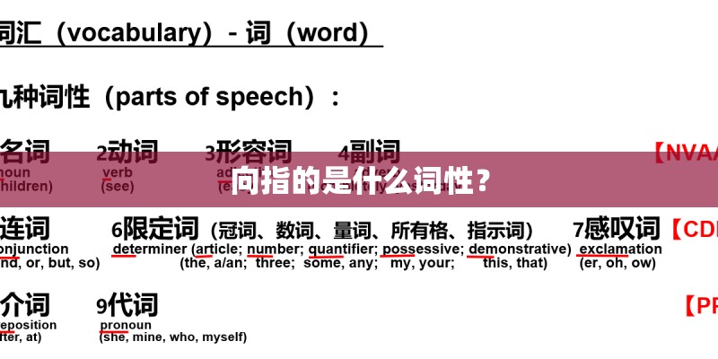 向指的是什么词性？