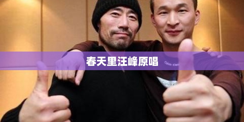 春天里汪峰原唱