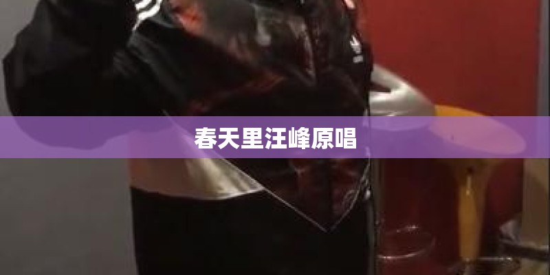 春天里汪峰原唱