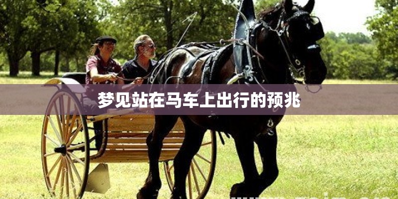 梦见站在马车上出行的预兆