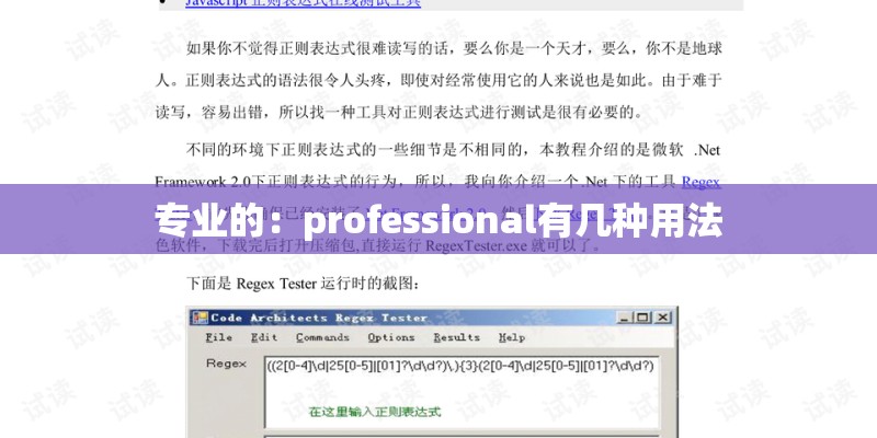 专业的：professional有几种用法