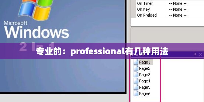 专业的：professional有几种用法