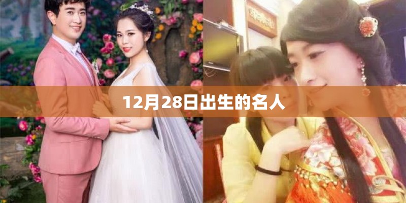 dynasty怎么读