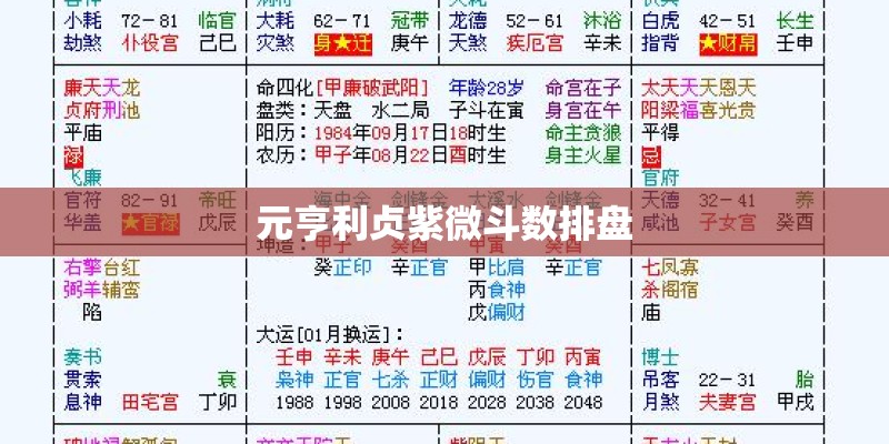 元亨利贞紫微斗数排盘