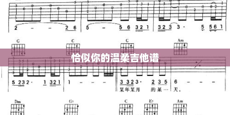 恰似你的温柔吉他谱