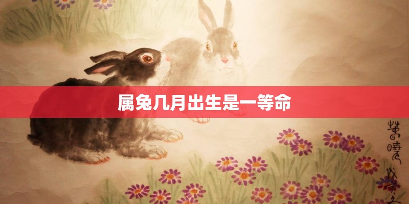 属兔几月出生是一等命