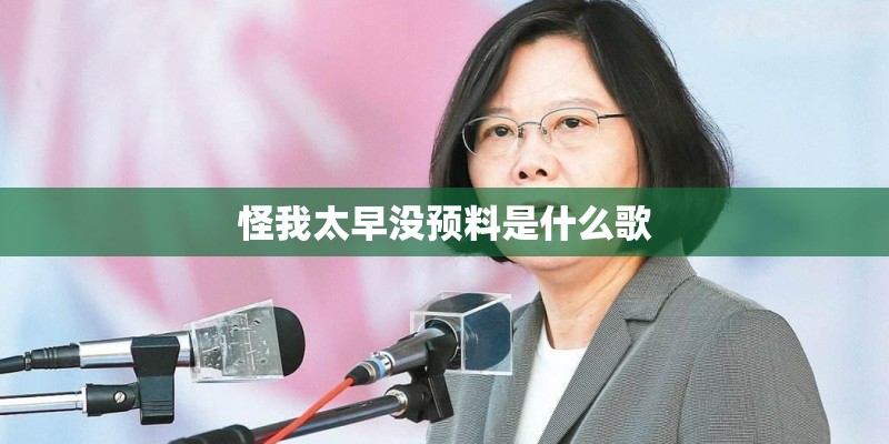 怪我太早没预料是什么歌
