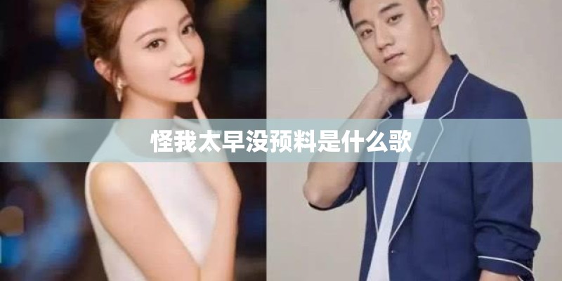 怪我太早没预料是什么歌