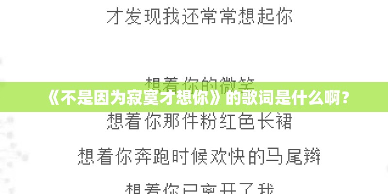 《不是因为寂寞才想你》的歌词是什么啊？