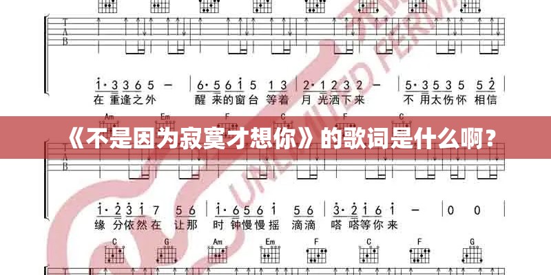《不是因为寂寞才想你》的歌词是什么啊？