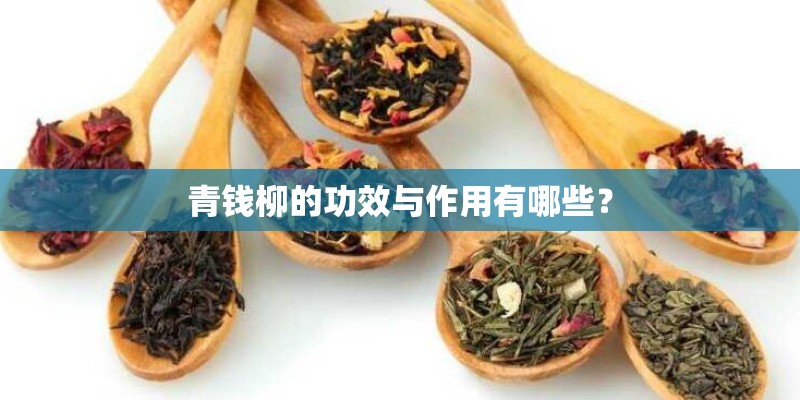 青钱柳的功效与作用有哪些？