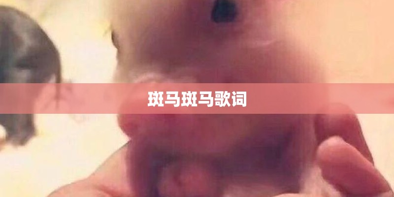 字公司起名 带字的公司名？