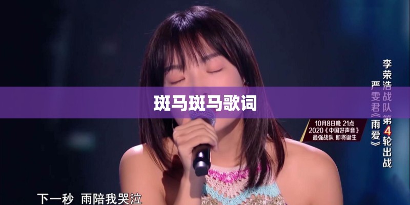 斑马斑马歌词