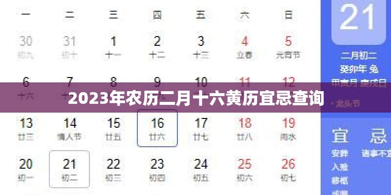 银发蛇后七岁七七岁