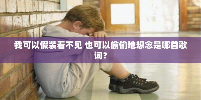 我可以假装看不见 也可以偷偷地想念是哪首歌词？