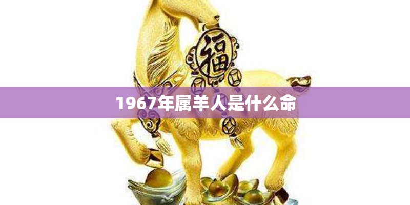 1948年出生是什么命-