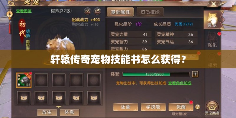 轩辕传奇宠物技能书怎么获得？
