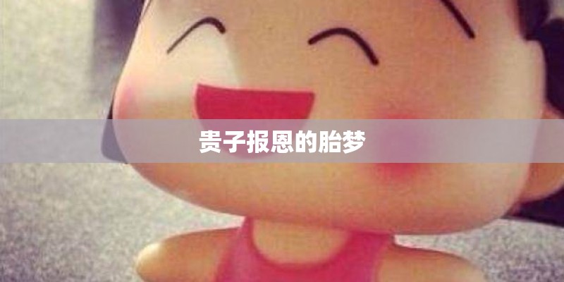 贵子报恩的胎梦 贵子报恩的胎梦