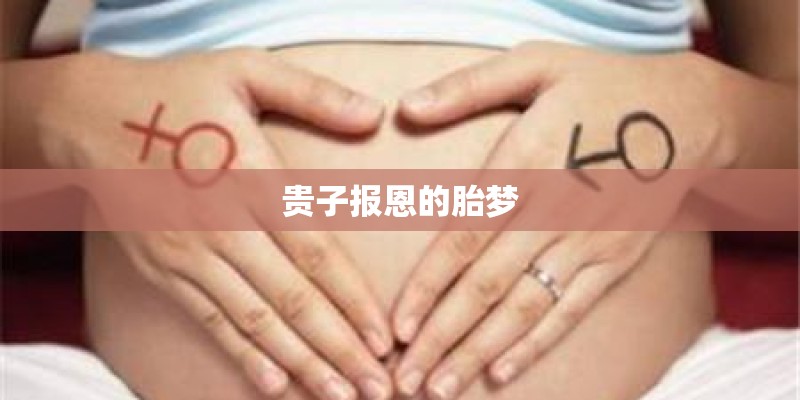 贵子报恩的胎梦 贵子报恩的胎梦