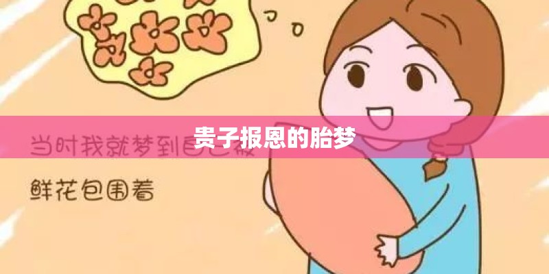 贵子报恩的胎梦 贵子报恩的胎梦